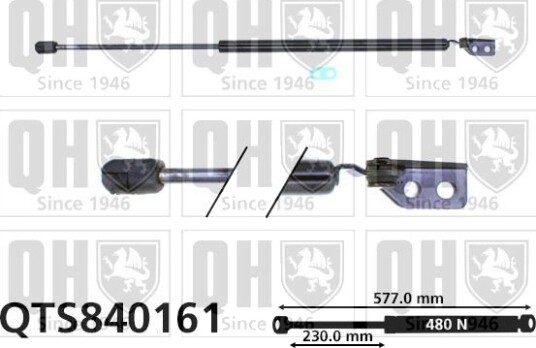 QUINTON HAZELL QTS840161 Baklukedemper
