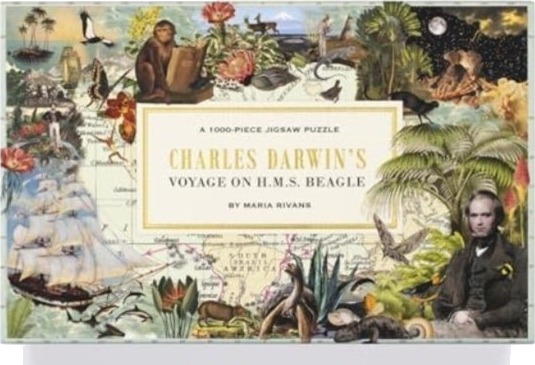 Charles Darwin's Voyage on H.M.S. Beagle