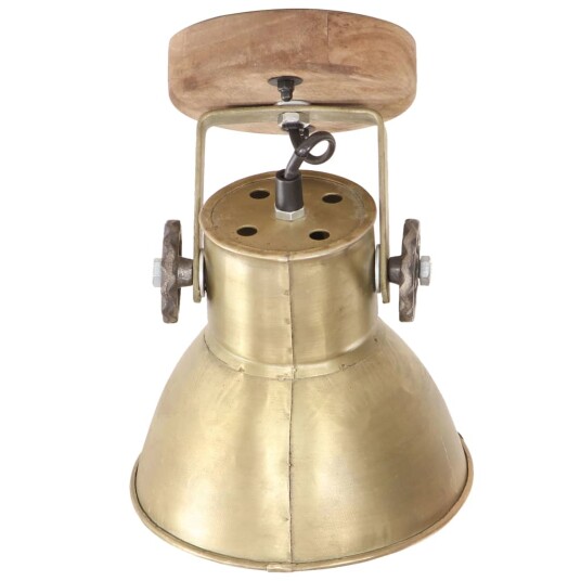 vidaXL Industrielle vegg-/taklamper 2 stk messing 20x25 cm E27