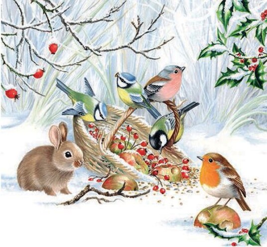 Lunsj serviett Winter Treat fra Ambiente Lunsj serviett Winter Treat fra Ambiente