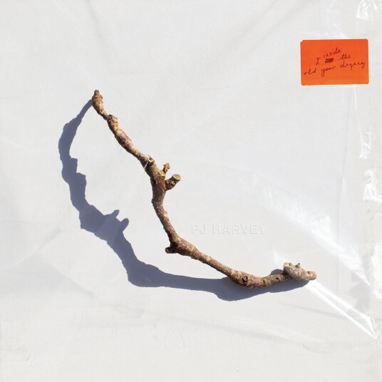 PJ Harvey  I Inside The Old Year Dying  CD