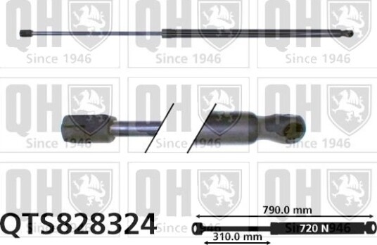 QUINTON HAZELL QTS828324 Baklukedemper