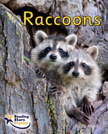 Raccoons Phase 4