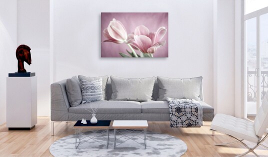 Tavle Romantic Tulips 120X80 Artgeist sp. z o. o.