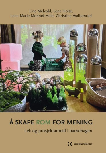 Å Skape Rom For Mening Av Lene Holte, Line Melvold, Lene-Marie Monrad-Hole, Christine Wallumrød