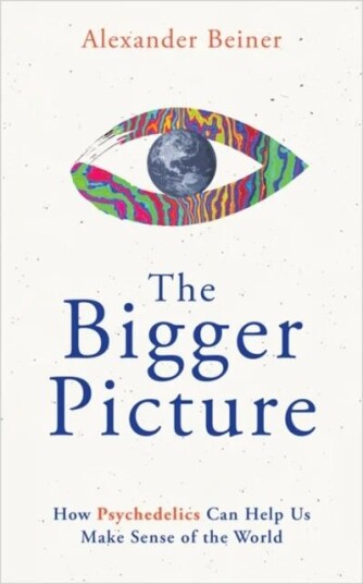 The Bigger Picture Av Alexander Beiner