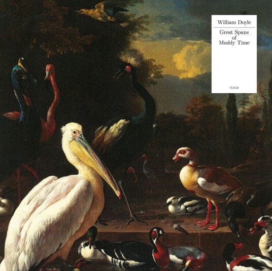 William Doyle Great Spans Of Muddy Time LP/Vinyl William Doyle Great Spans Of Muddy Time LP/Vinyl