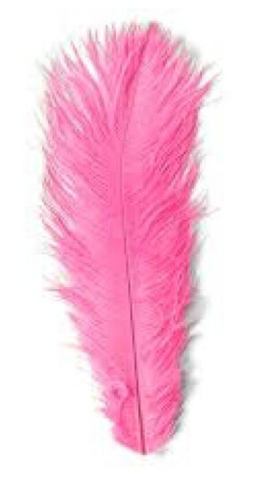 Veniard Ltd Veniard Strutseherl Fl. Pink - OS