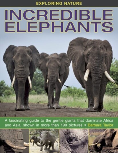 Exploring Nature: Incredible Elephants Exploring Nature: Incredible Elephants