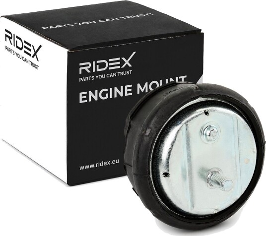 RIDEX 247E0043 Motorfeste