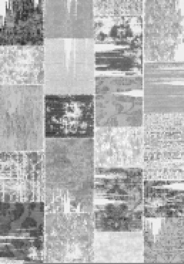 Wilton teppe Ephesus grønn Størrelse: 200 x 280 cm