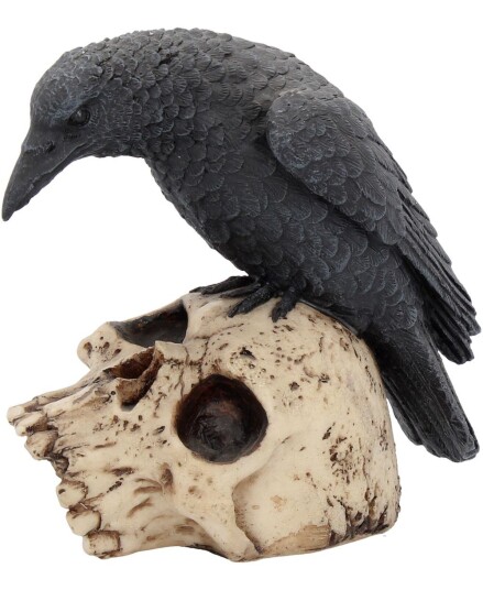Ravens Remains Ravn og Hodeskalle Figur 13 cm