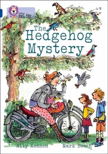 The Hedgehog Mystery Av Ally Kennen