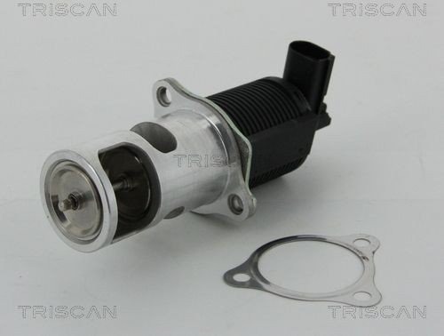 EGR ventil TRISCAN 8813 25038