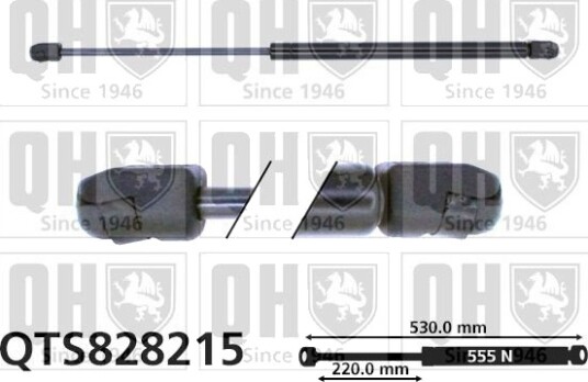 QUINTON HAZELL QTS828215 Baklukedemper