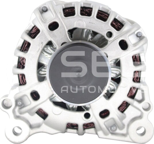 SEG Automotive F000BL07H1 Dynamo