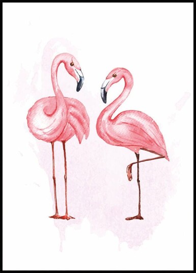 Watercolor Flamingos Plakat Plakat / 100x150cm