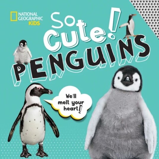 So Cute: Penguins Av National Geographic Kids, Crispin Boyer