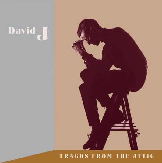 David J Tracks From The Attic Rsd 2023 Uk Vinyl