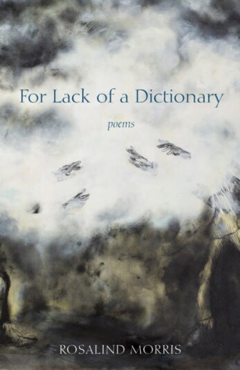 For Lack of a Dictionary