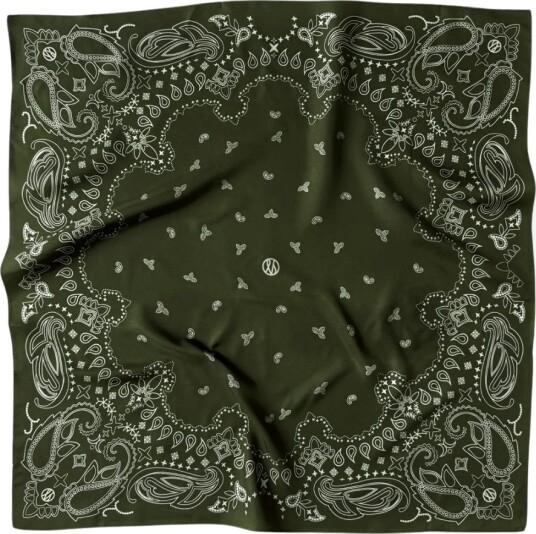 Le Scarf Paisley silk scarf OS grønn dame