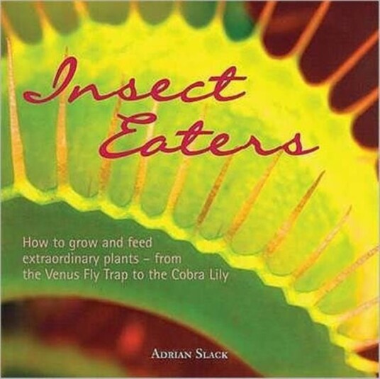 Insect Eaters Av Adrian Slack Insect Eaters Av Adrian Slack