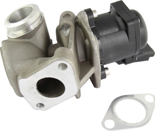 EGR Ventil Professional Parts 87431412