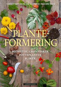 Planteformering Av Kenneth   Tønsberg Tommy Ingebretsen