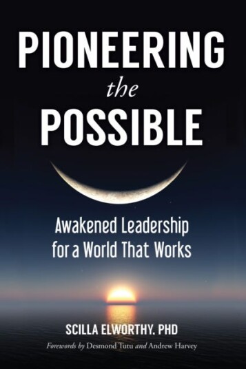 Pioneering the Possible Awakened Leadership for a World That Works