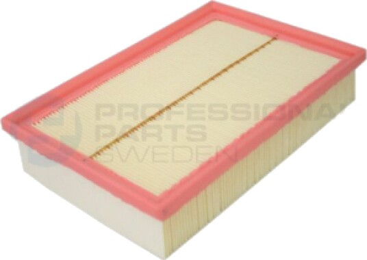 Luftfilter Professional Parts 24439701