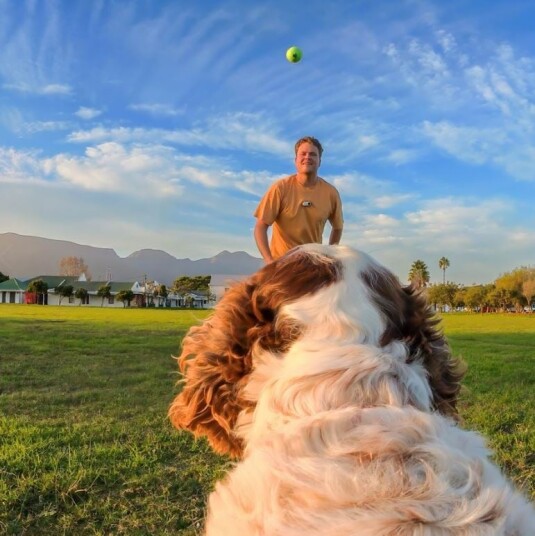 Insta360 GO 3S Pet Harness Mount - Liten Kameratilbehør