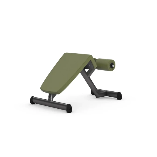 gym80 Roman Chair Magebenk gym80 Roman Chair Magebenk