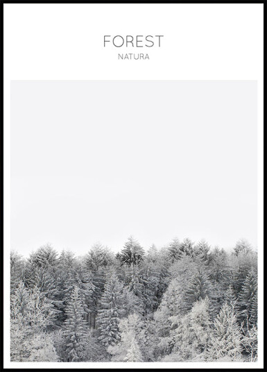 Frosted Tranquility Plakat Plakat / 30x40cm