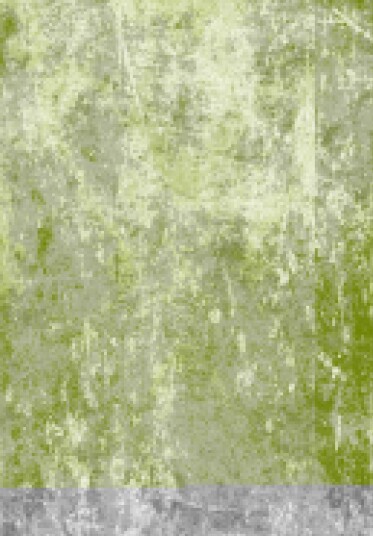 Wilton teppe   Pavoa oransje Størrelse: 130 x 190 cm