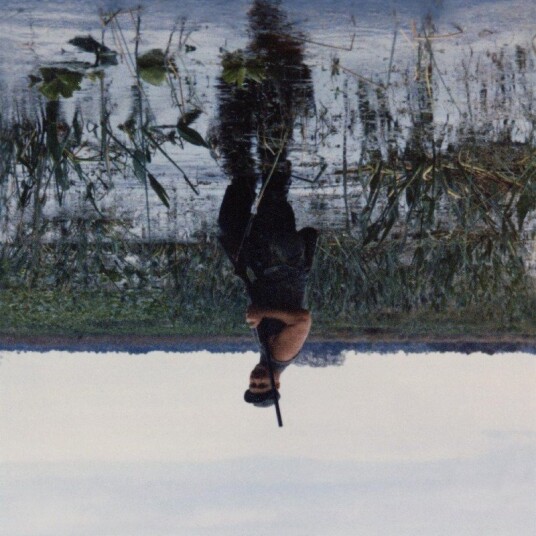 Knifeplay Animal Drowning Kassett