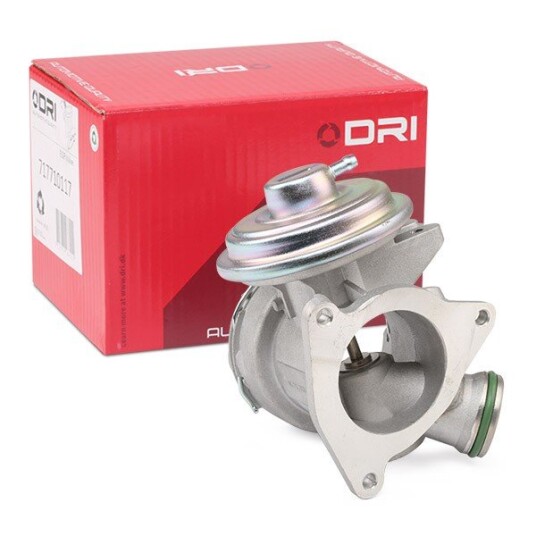 EGR Ventil DRI 717710117