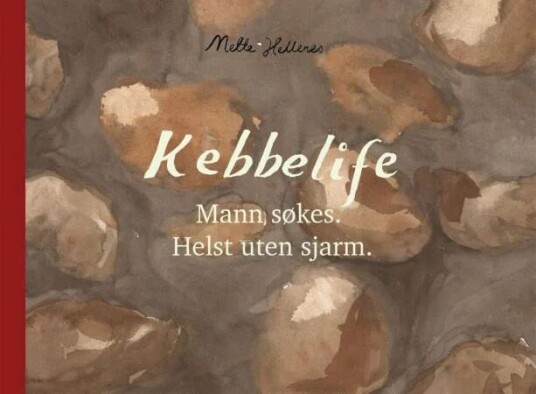 Mann Søkes, Helst Uten Sjarm Av Mette Hellenes