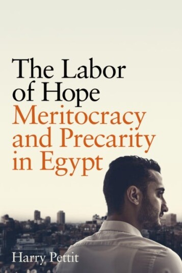 The Labor Of Hope Av Harry Pettit