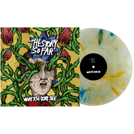 The Story So Far  What You Don't See  LP/Vinyl