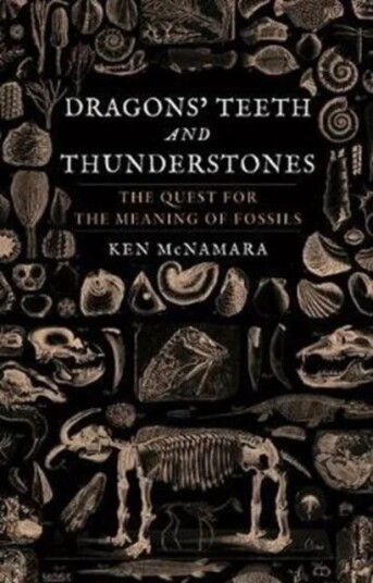 Dragons' Teeth And Thunderstones Av Kenneth J. Mcnamara