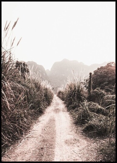 Dirt Road in Grass Fields Plakat Plakat / 21x30cm
