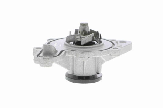 VAICO V30 50055 Vannpumpe