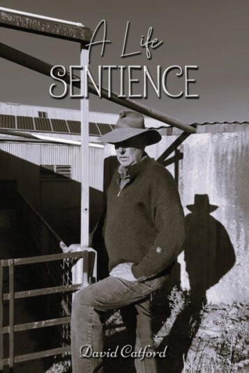 A Life Sentience A Life Sentience