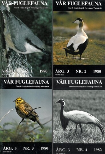 Norsk Ornitologisk Forening Vår Fuglefauna   1980  hele årgang 3