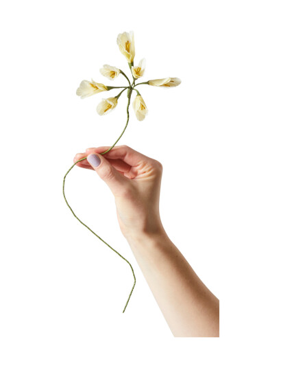 Studio About Paper Flower African Lily Yellow ONE SIZE Studio About Paper Flower African Lily Yellow ONE SIZE