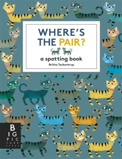 Where's the Pair?  A Spotting Book