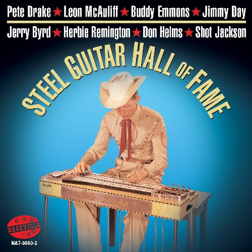 Diverse Artister Steel Guitar Hall Of Fame CD