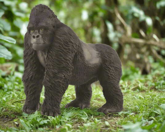 Collecta Western Lowland Gorilla Collecta Western Lowland Gorilla