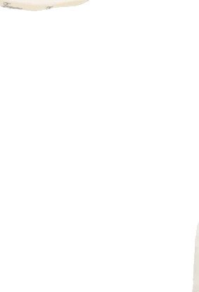 Jacquemus Herre Topper Hvit S,