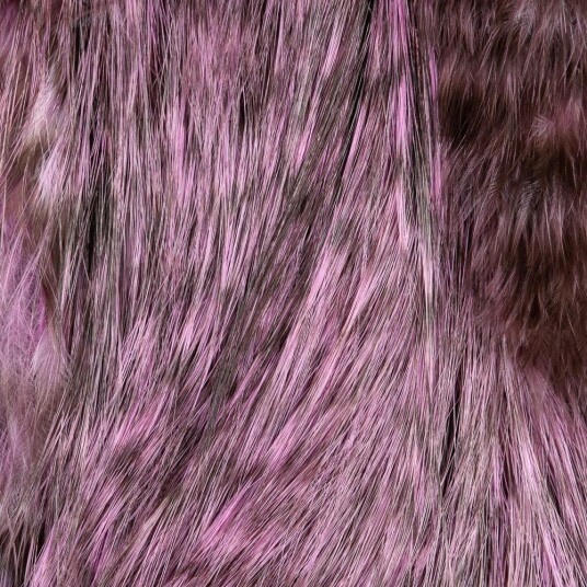 Whiting Bird Fur Whiting Bird Fur